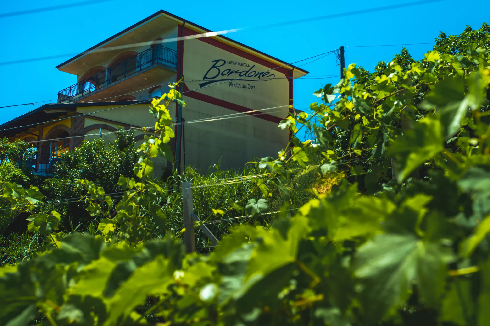 Piemonte-giuseppe_Bordone-cantina_e_vigneti.webp