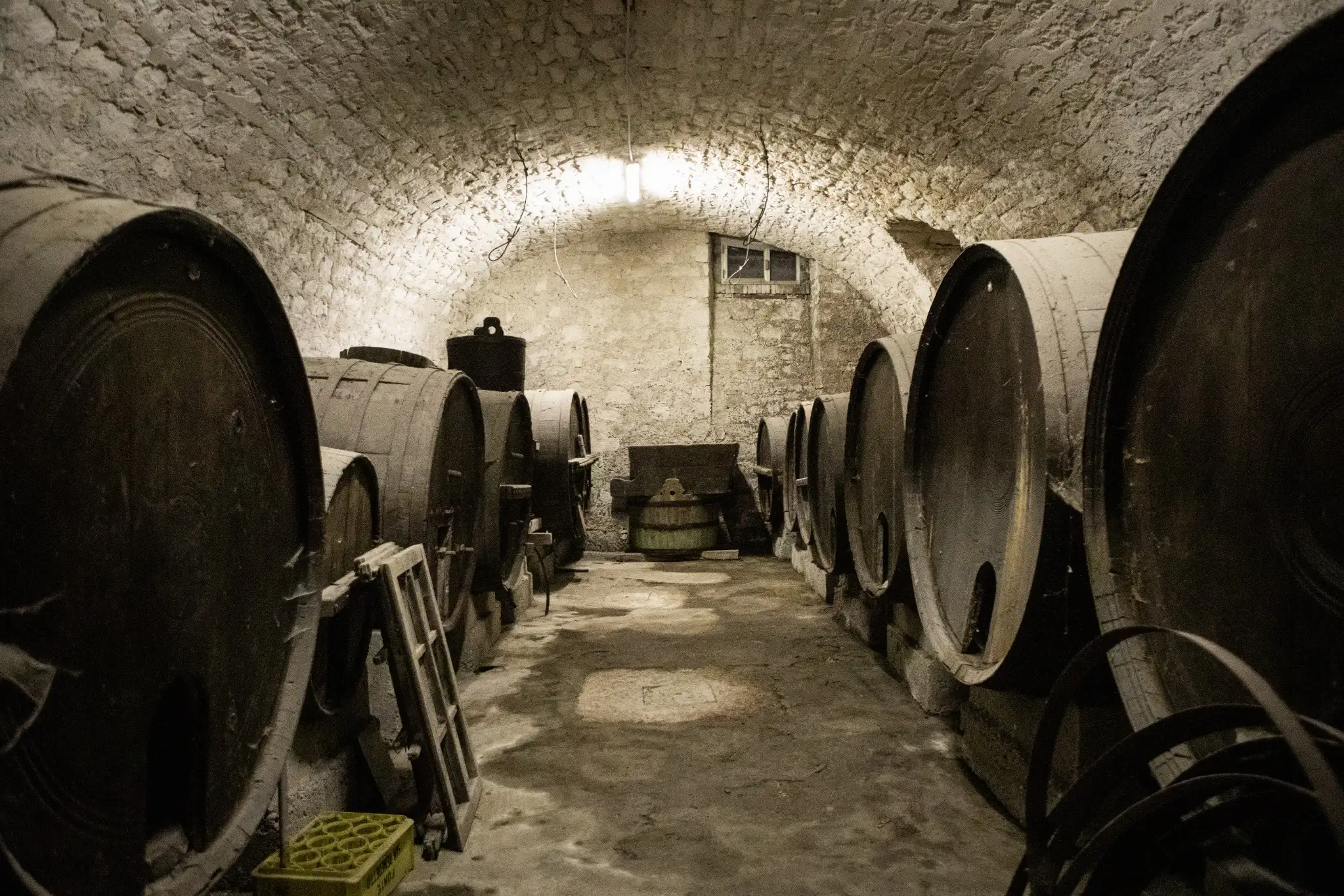 veneto-nepos-villae-wine-cellar-barrels.webp