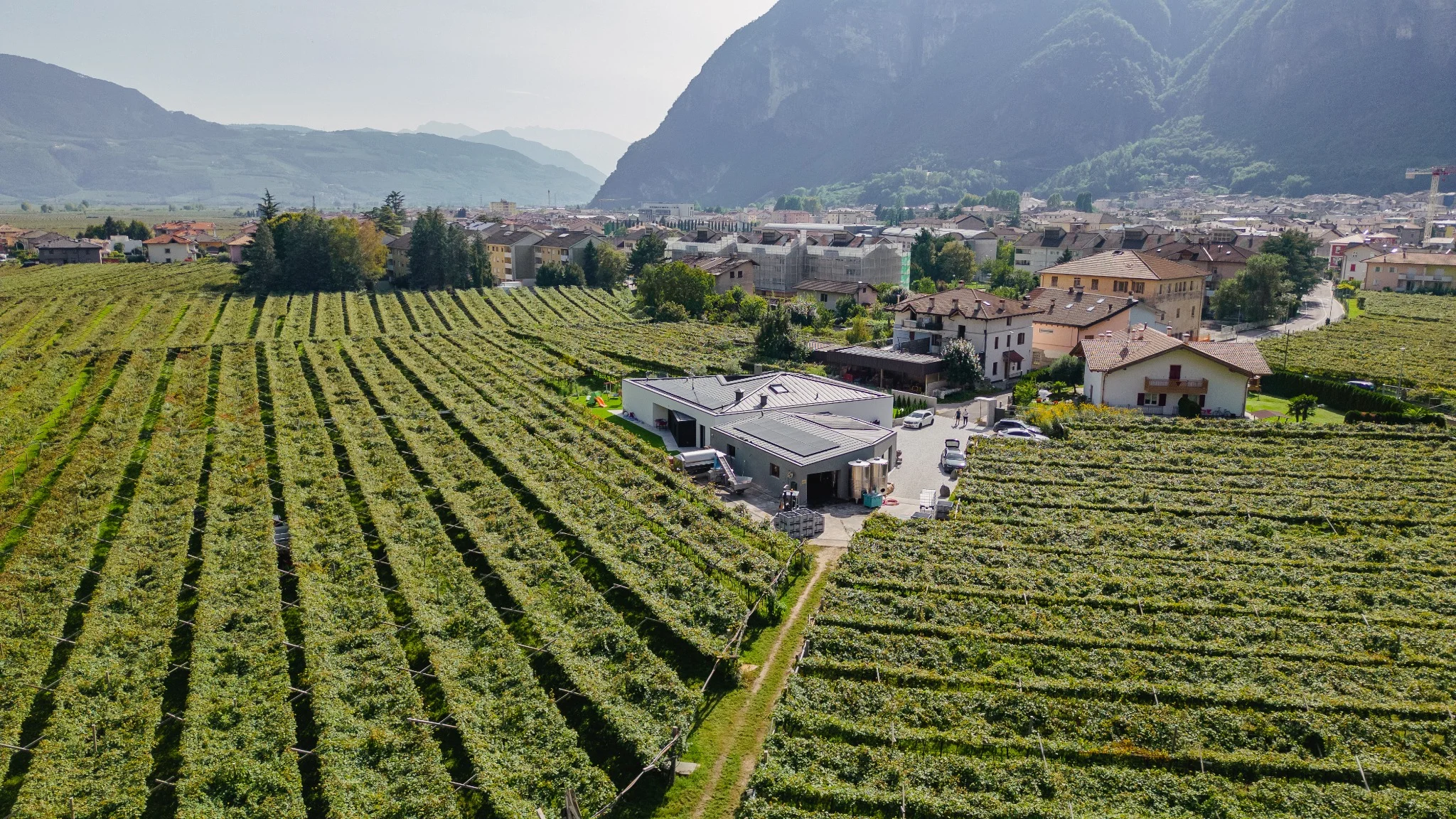 trentino-devigili-vigneti_e_cantina.webp