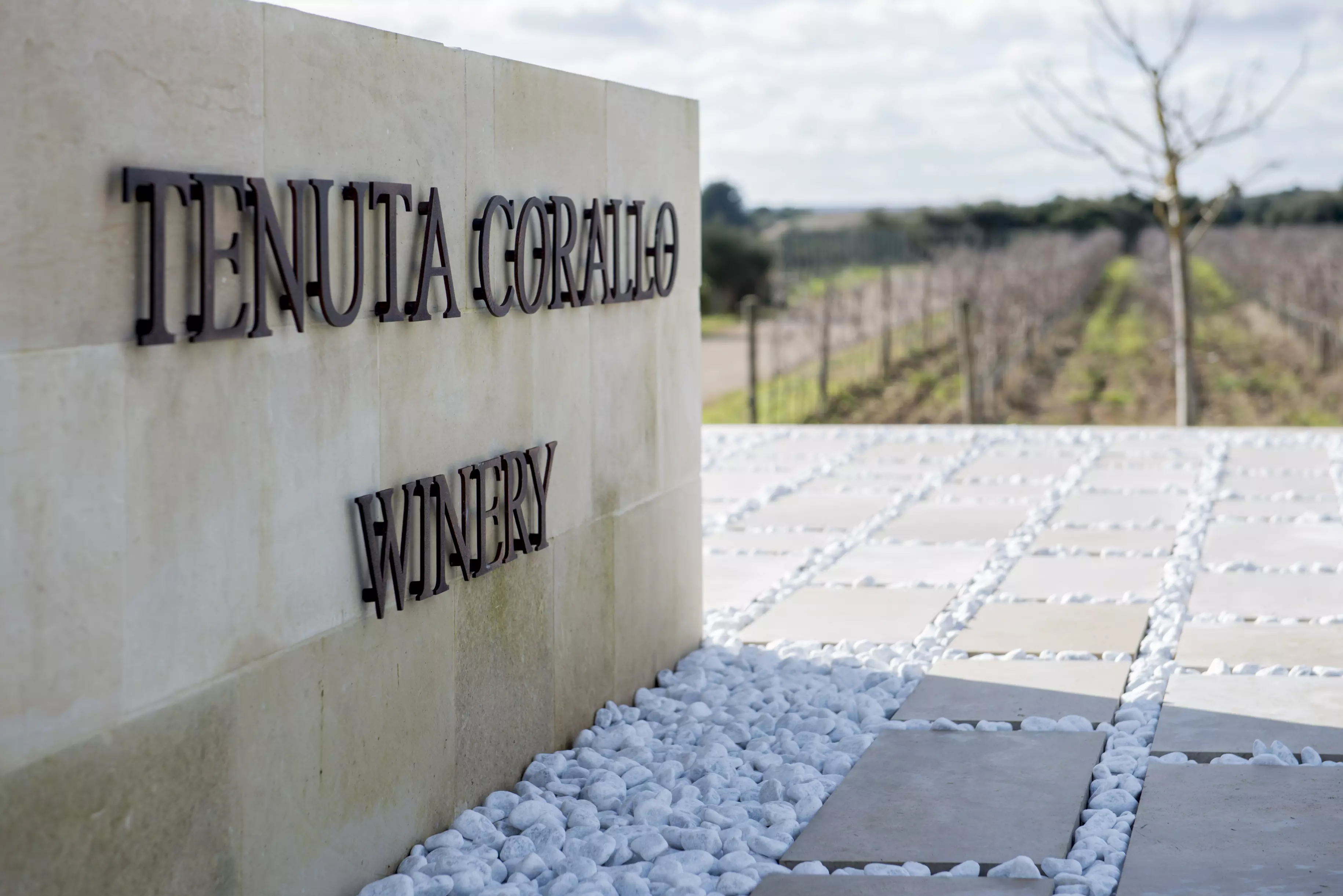 puglia-tenuta_corallo-cantina.webp