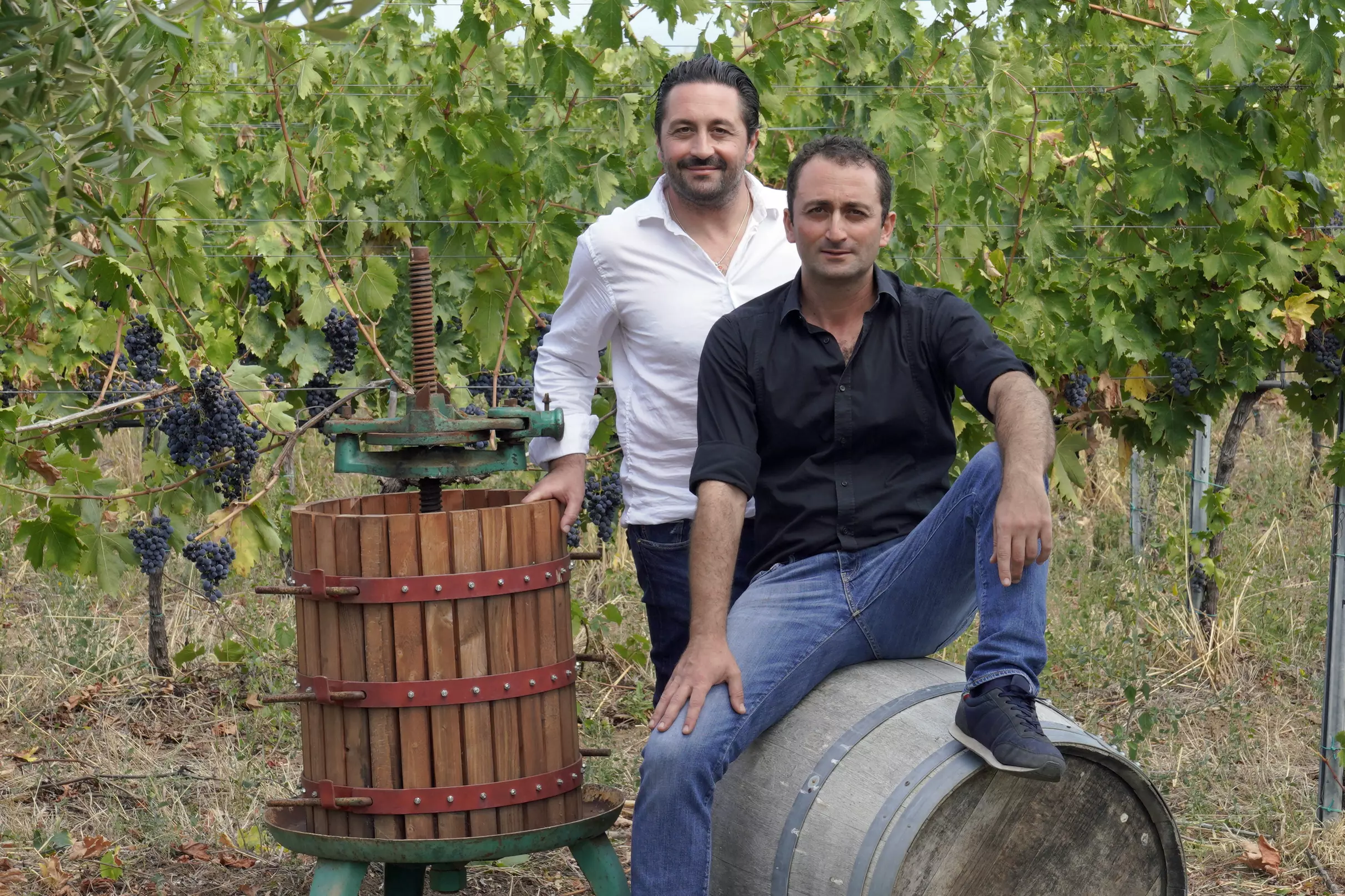abruzzo-fontefico_Nicola_ed_Emanuele-botti-vigneto.webp