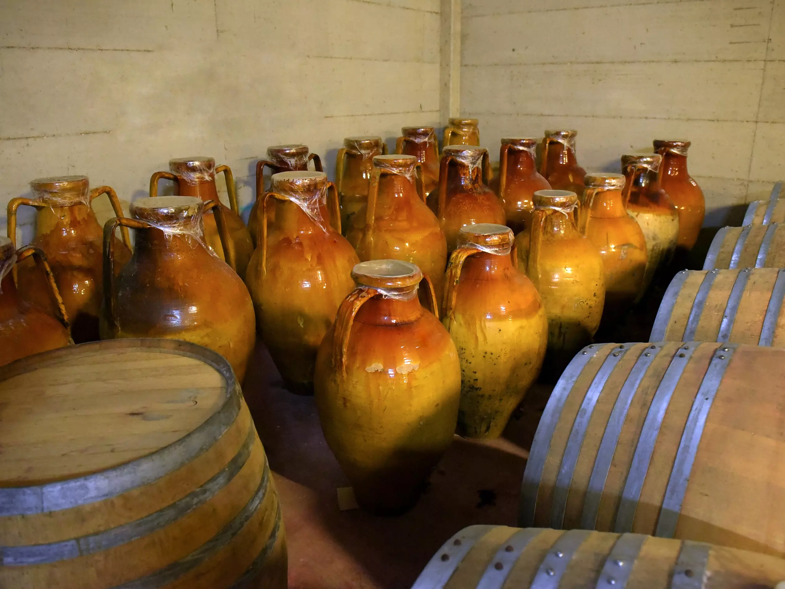 puglia-vinicola_cicella-anfore_e_barriques.webp