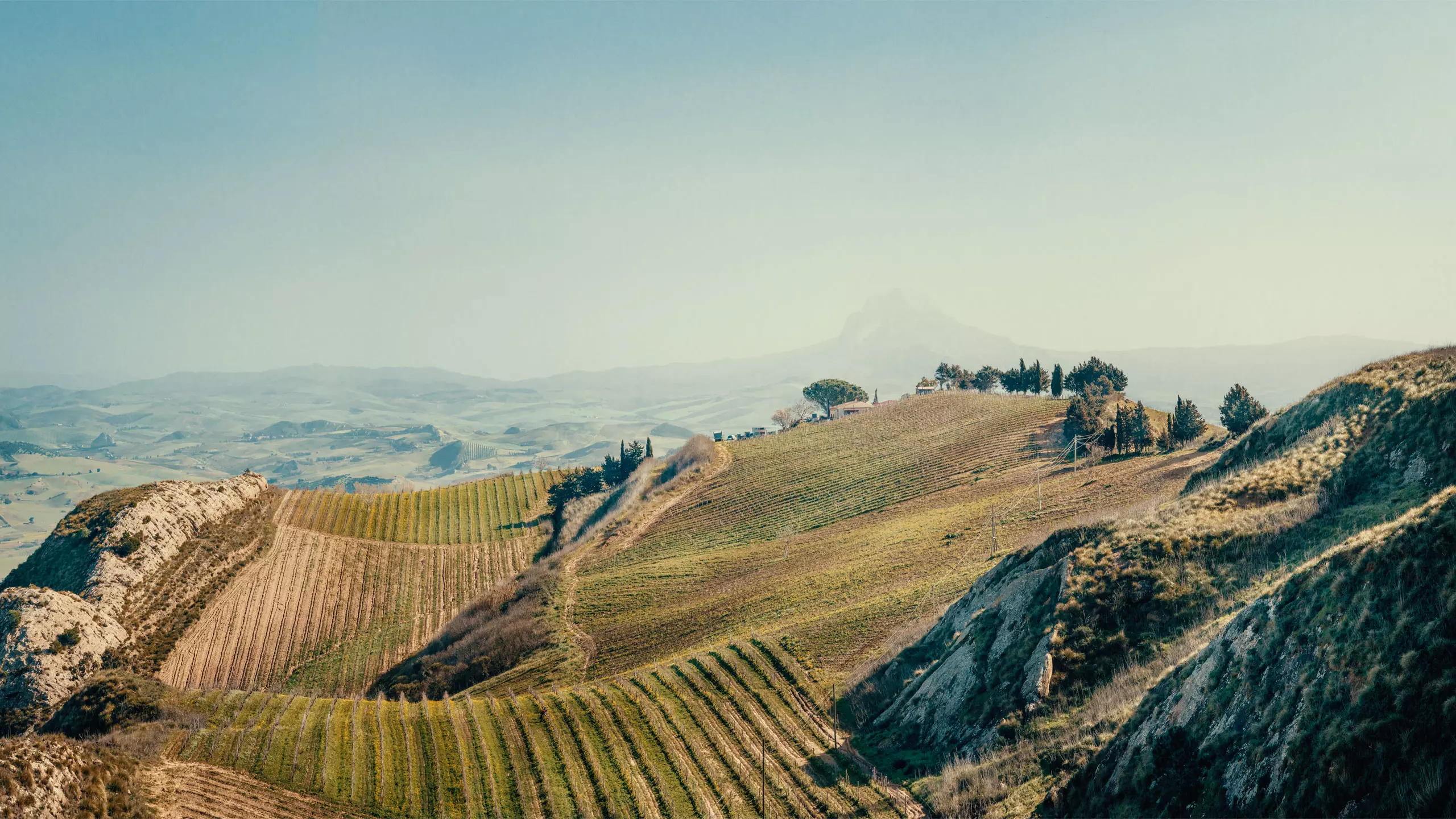 Porta_del_vento-sicilia-vigneti-_panorama.webp