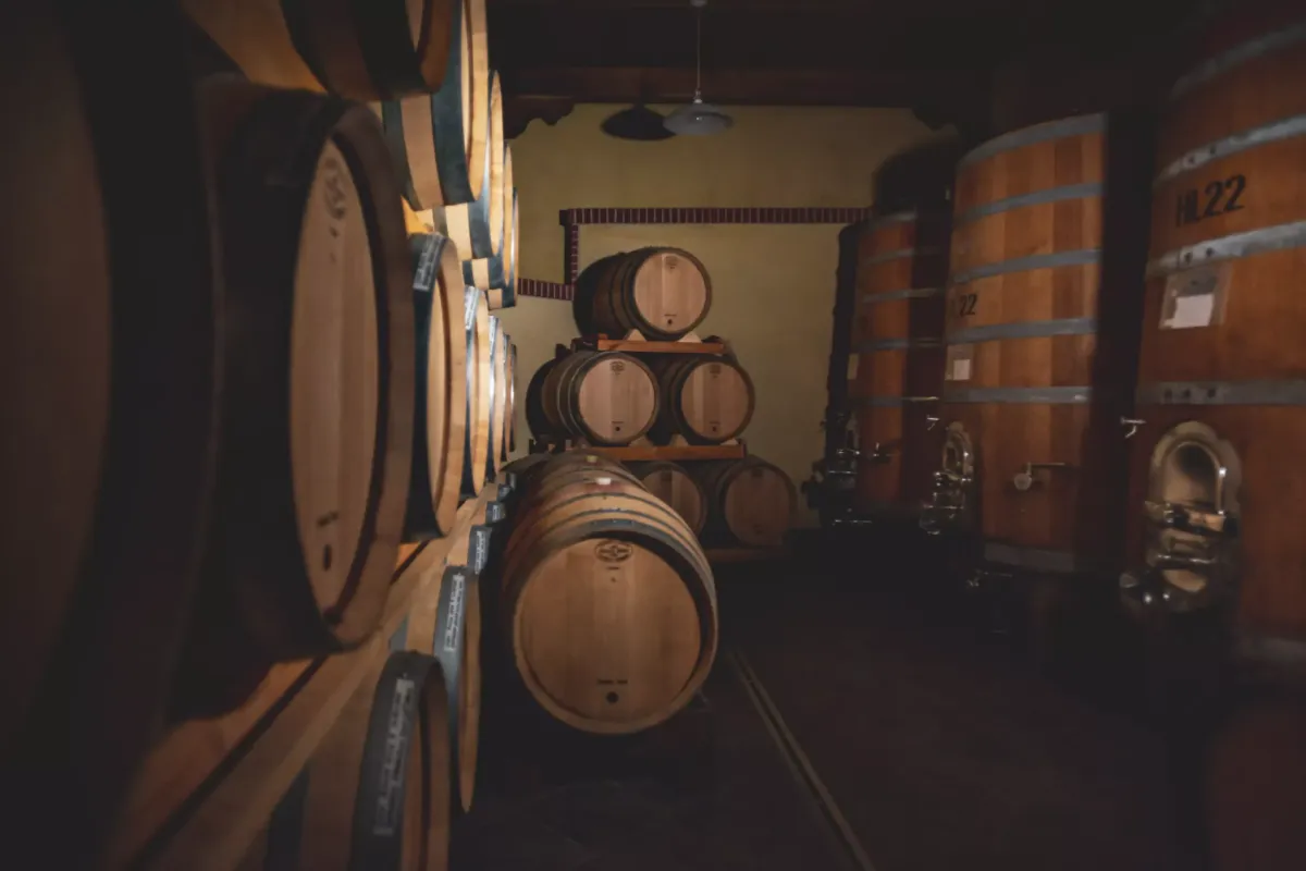 Piemonte-giuseppe_Bordone-cantina_botti.webp