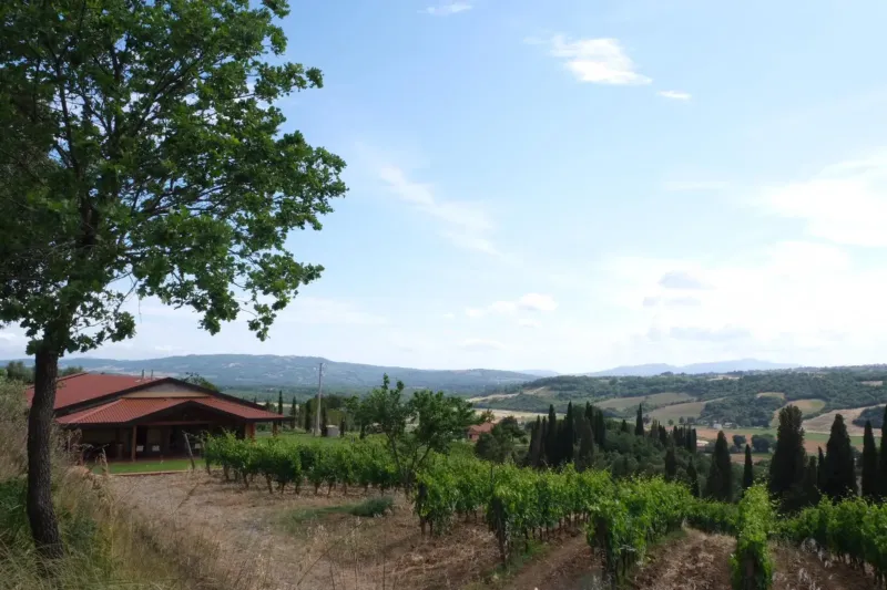 Begnardi Vini