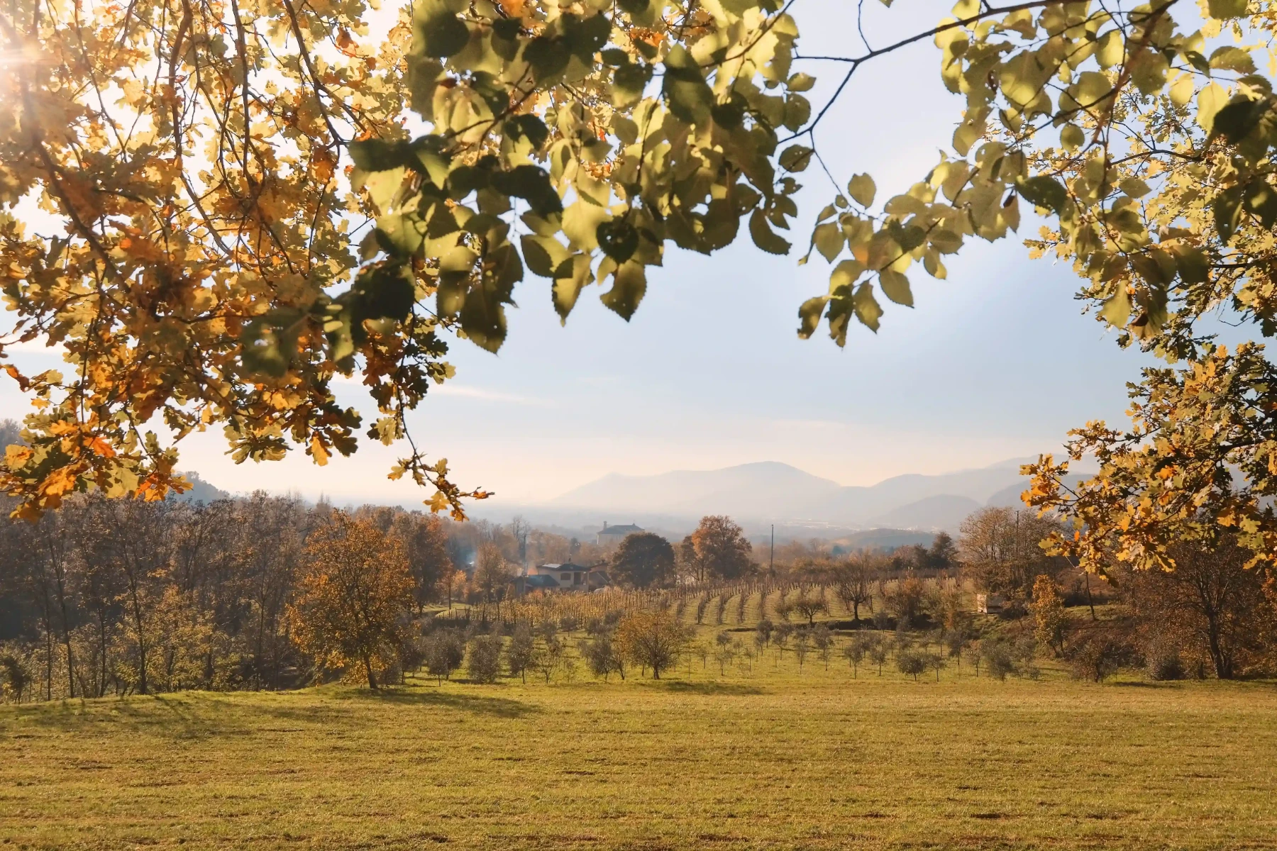 Classic tasting - Cascina Belmonte