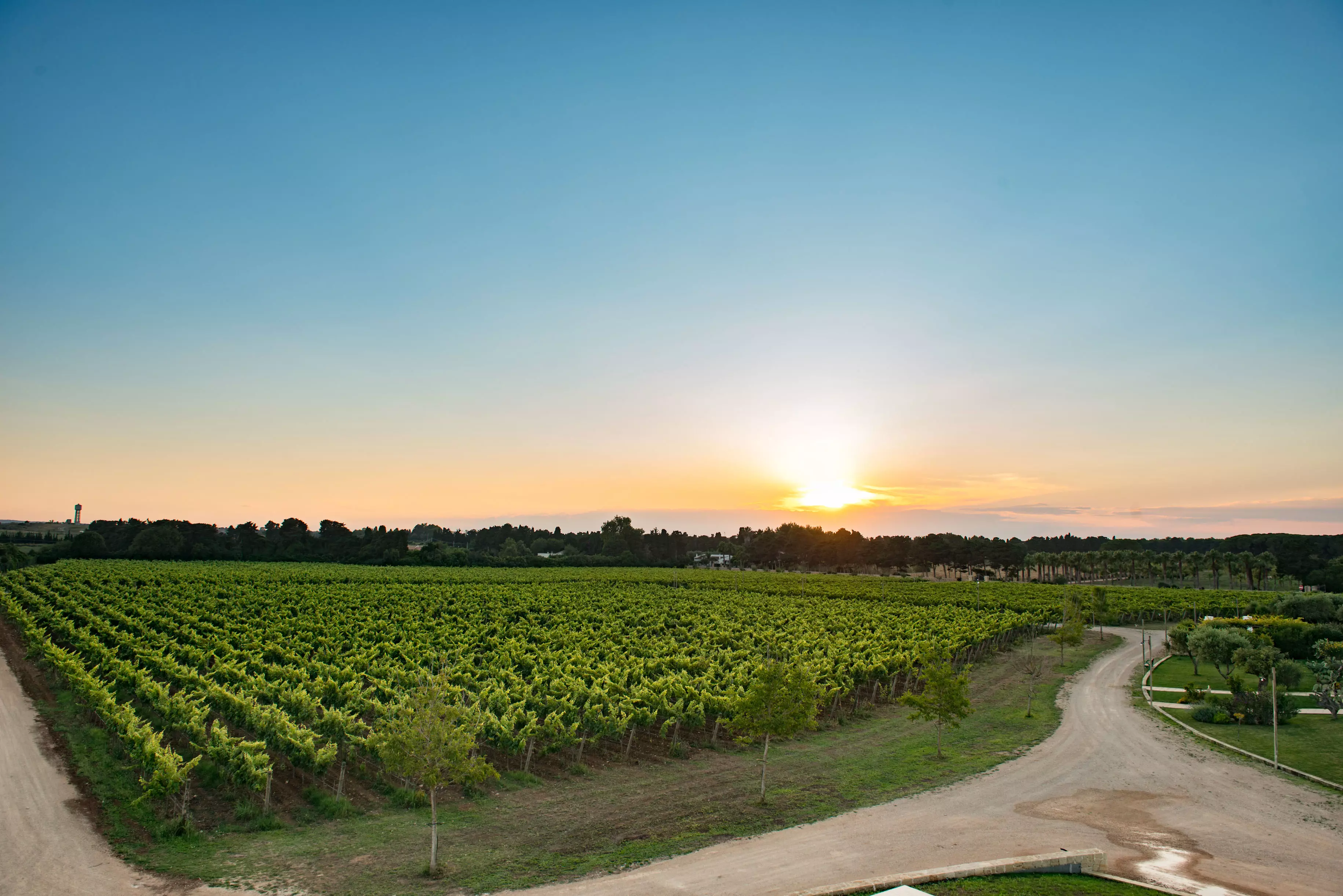 Classic Tasting - Tenuta Corallo