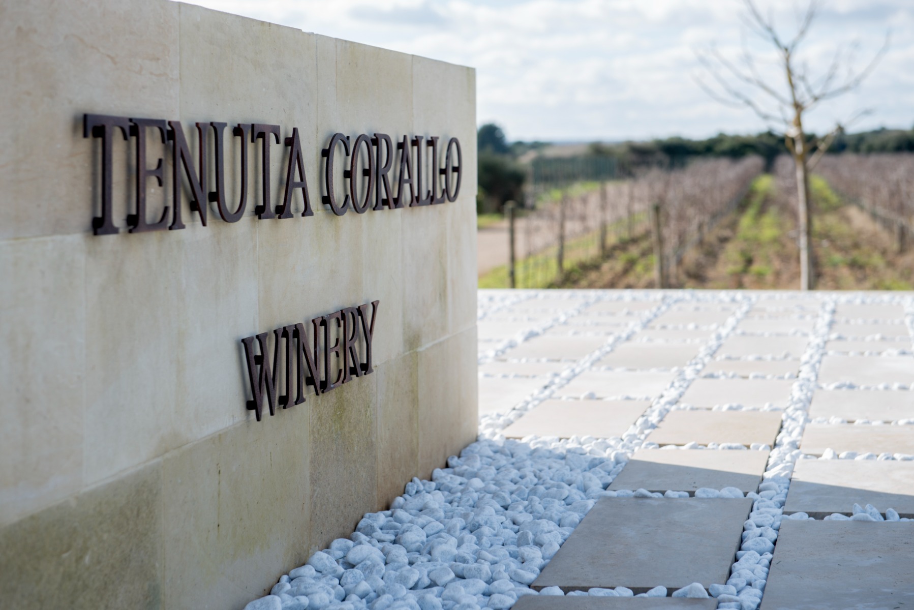 Classic tasting - Tenuta Corallo