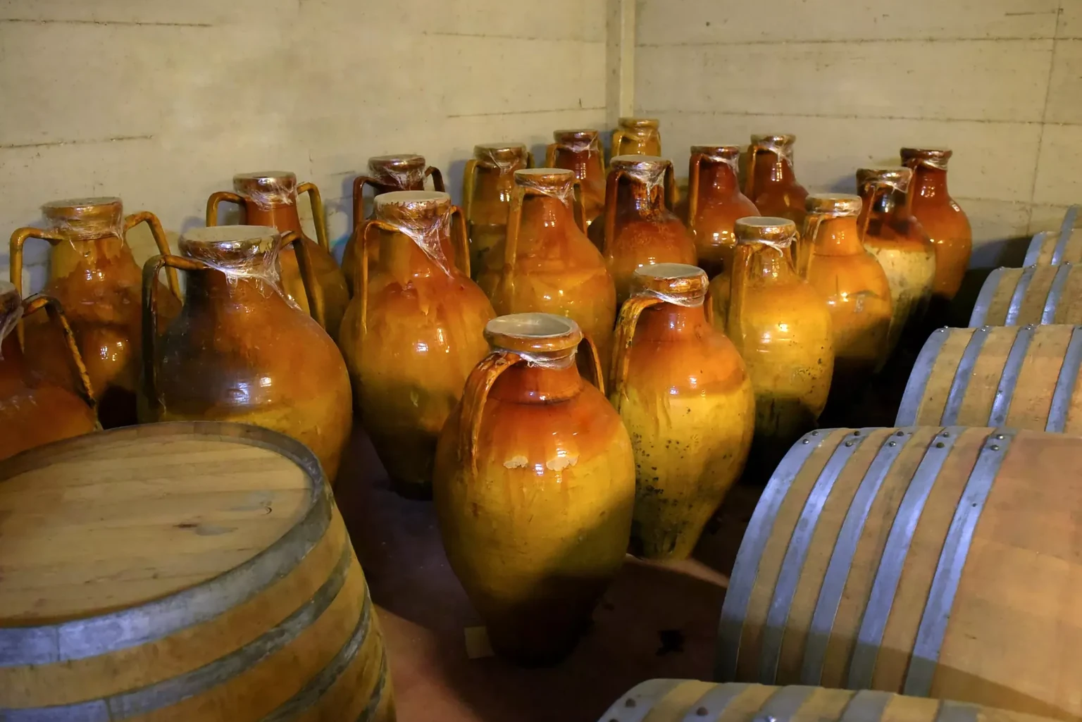 Basic route - Vinicola Cicella