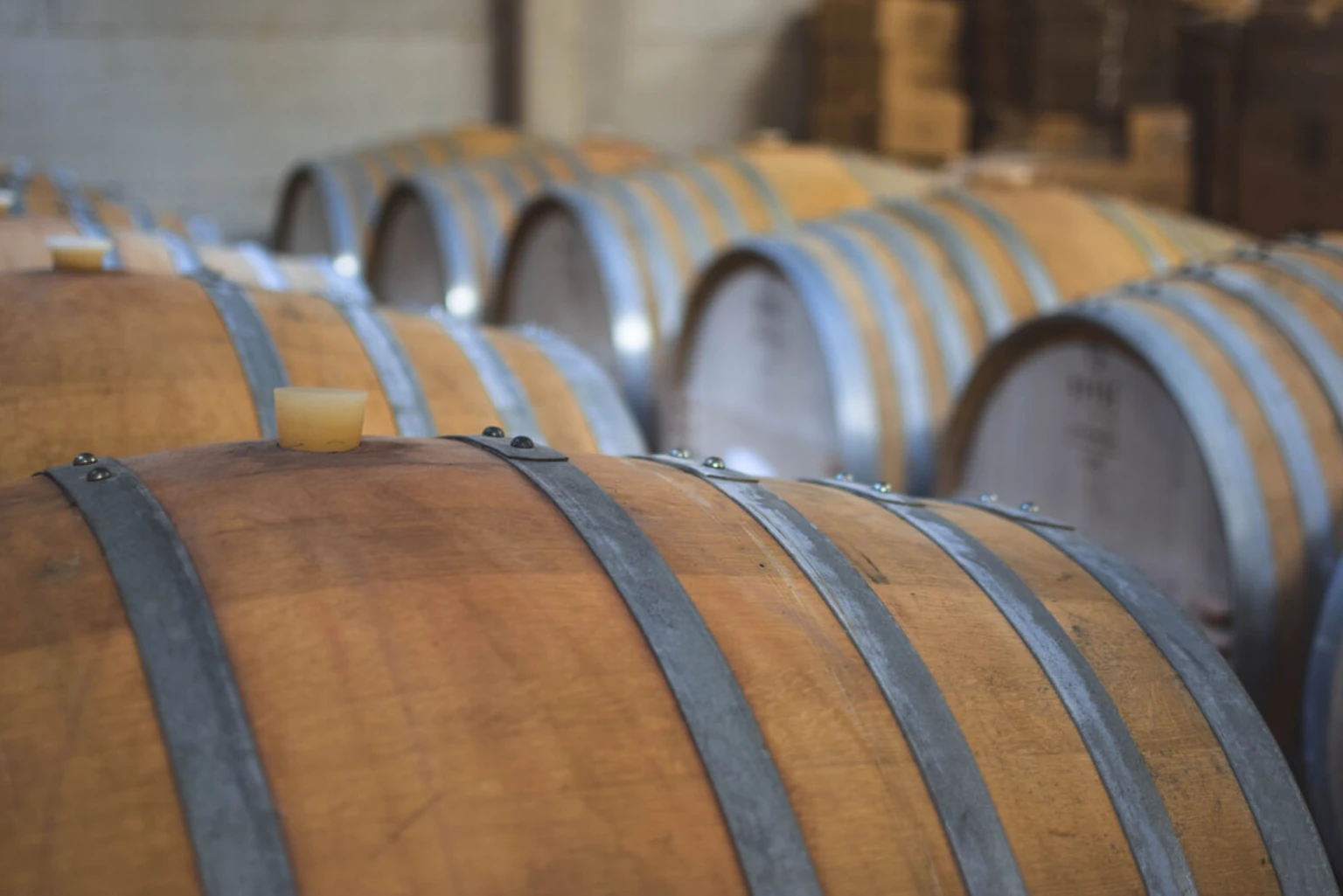 Full itinerary - Vinicola Cicella