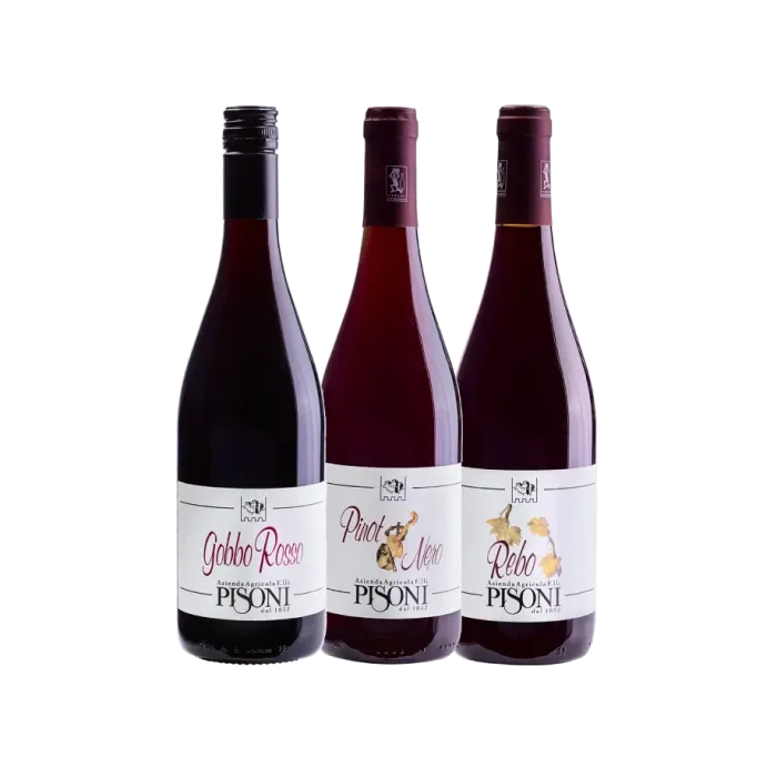 Three bottle pack “Rossi trentini”