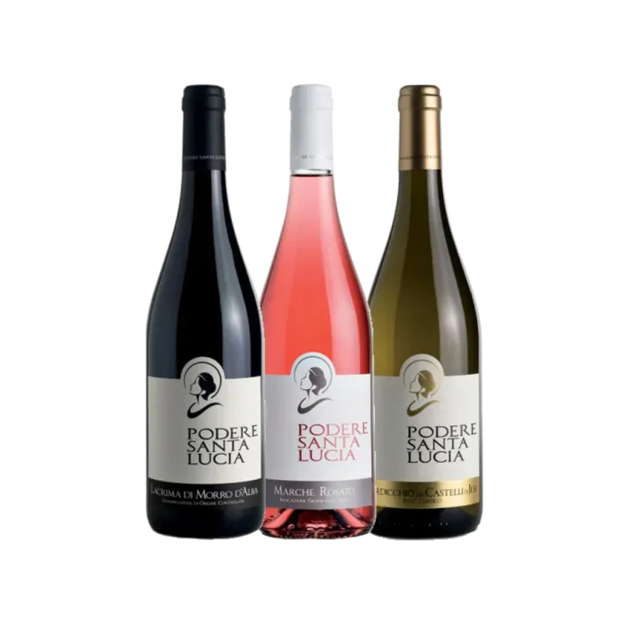 Vinæske med 3 flasker Pearl of... Marche Region