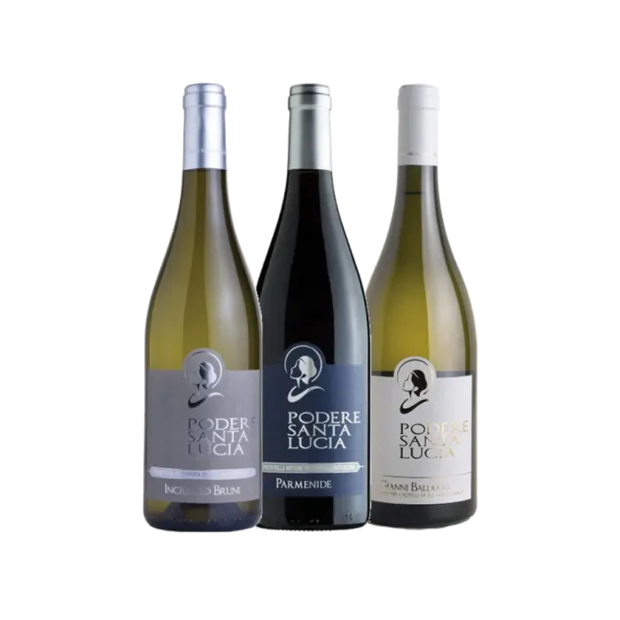 Vinæske med 3 flasker Podere Santa Lucia