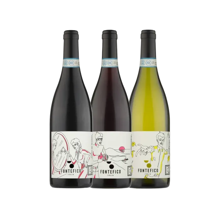 Vinæske med 3 flasker Abruzzo classics