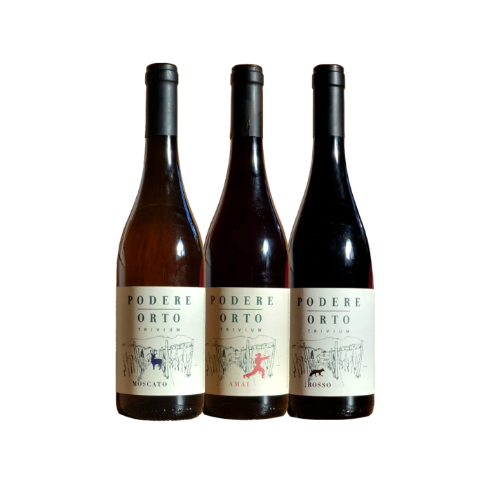 Vinæske med 3 flasker Village Flavours