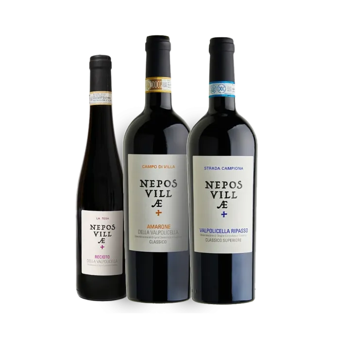 Vinæske med 3 flasker “I classici Valpolicella”