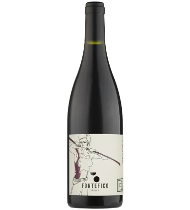 Aglianico "Costetoste" 2015 Fontefico