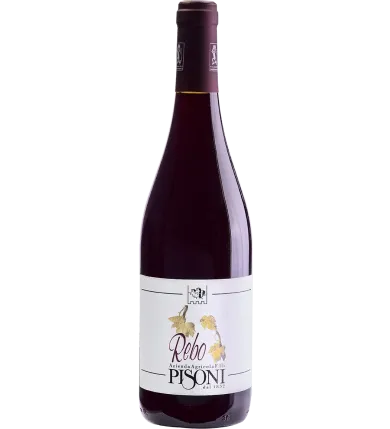 Rebo 2021 Cantina Pisoni 