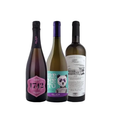 Vinæske med 3 flasker Blasi