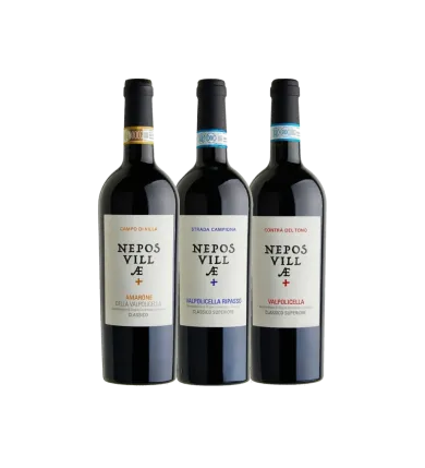 Vinæske med 3 flasker  Valpolicella 