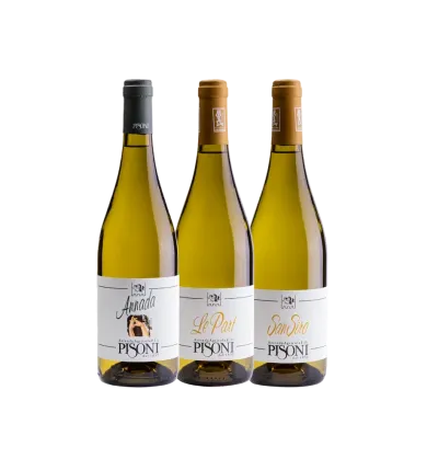 Vinæske med 3 flasker  smag af Trentino