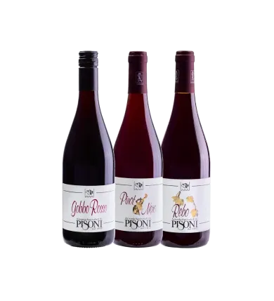 Vinæske med 3 flasker trentinske rødvine 