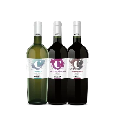 Vinæske med 3 flasker origini Puglia