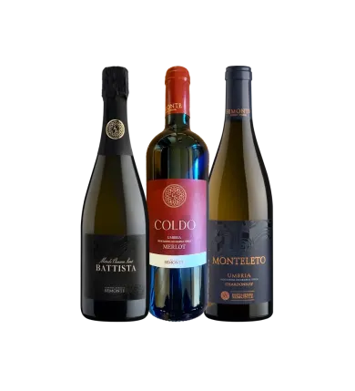 Vinæske med 3 flasker Coldo