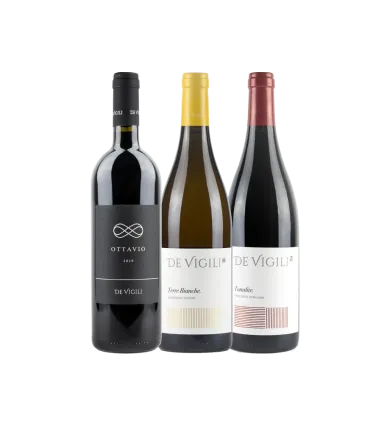 Vinæske med 3 flasker De Vigili classic
