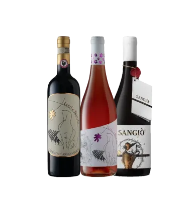 Vinæske med 3 flasker Lecci e Brocchi