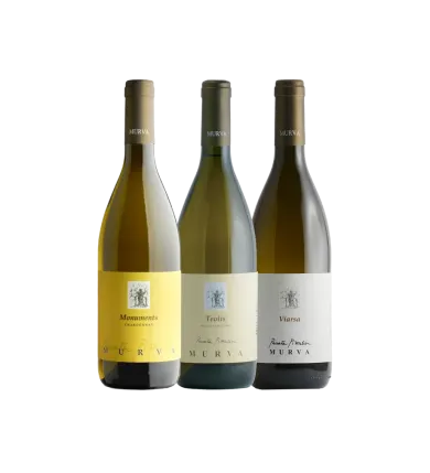 Vinæske med 3 flasker Friuli white wine