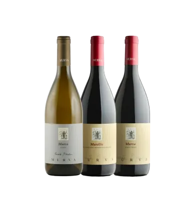 Vinæske med 3 flasker Not only white!