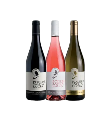 Vinæske med 3 flasker Pearl of... Marche Region