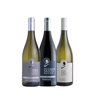 Vinæske med 3 flasker Podere Santa Lucia