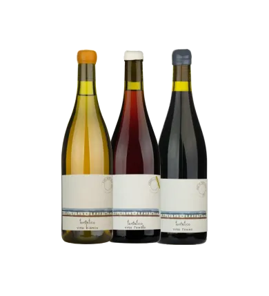 Confezione da tre bottiglie “I detti di Fontefico”