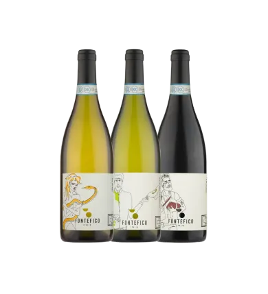 Vinæske med 3 flasker Fontefico