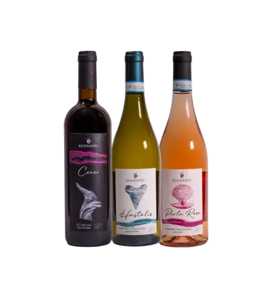Confezione da tre bottiglie "Begnardi"