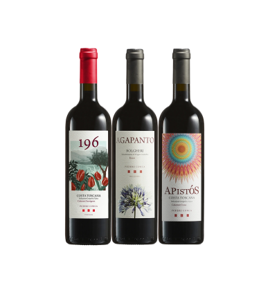 Vinæske med 3 flasker Cabernet