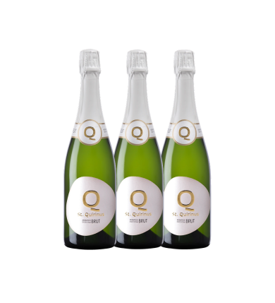 Vinæske med 3 flasker Quirinus Brut