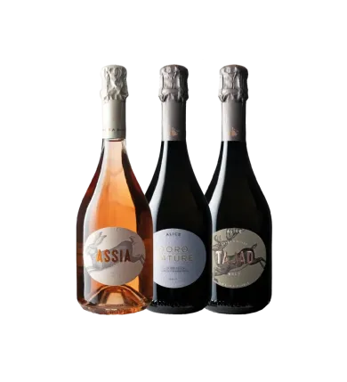 Vinæske med 3 flasker  Le Vigne di Alice