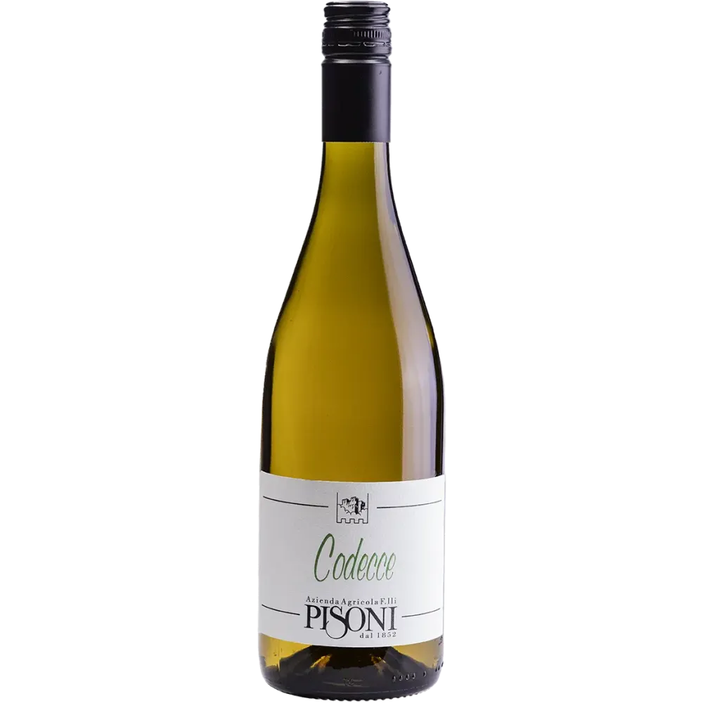 _Codecce__Cantina_Pisoni_