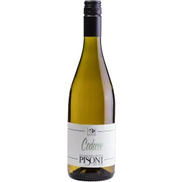 "Codecce" Cantina Pisoni
