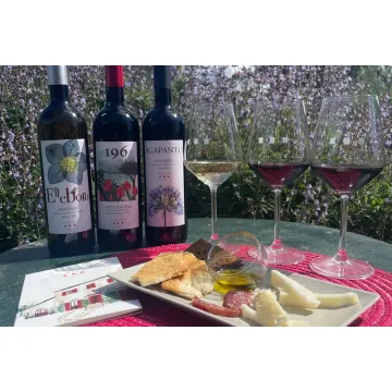 Farm Visit and Tasting - Podere Conca