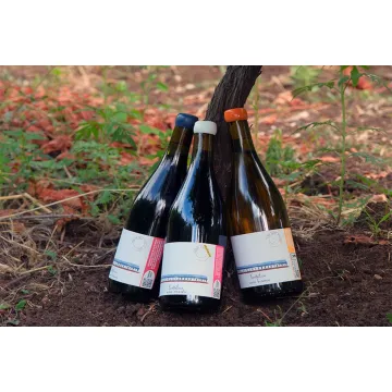 Anarkisternes vinsmagning - Fontefico