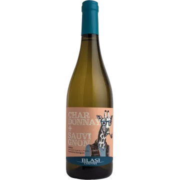 Cardonnay + Sauvignon Blasi
