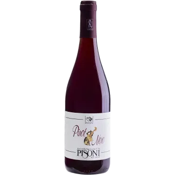Pinot Nero Cantina Pisoni