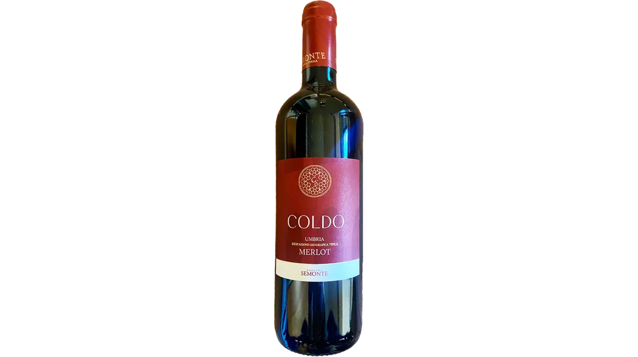 Vinæske med 3 flasker Coldo 