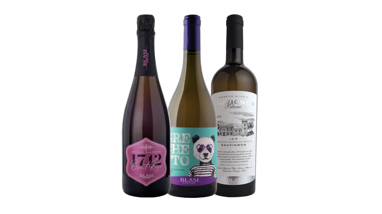 Vinæske med 3 flasker Blasi 