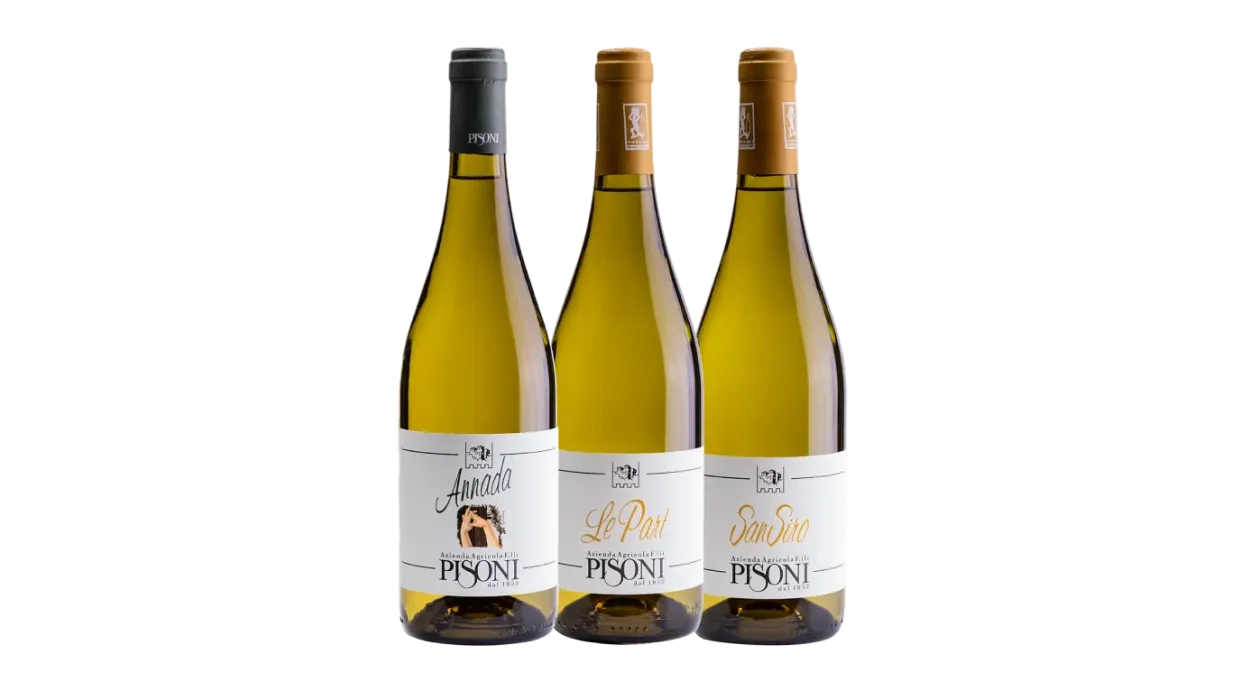 Three bottle pack “Varietali trentini”