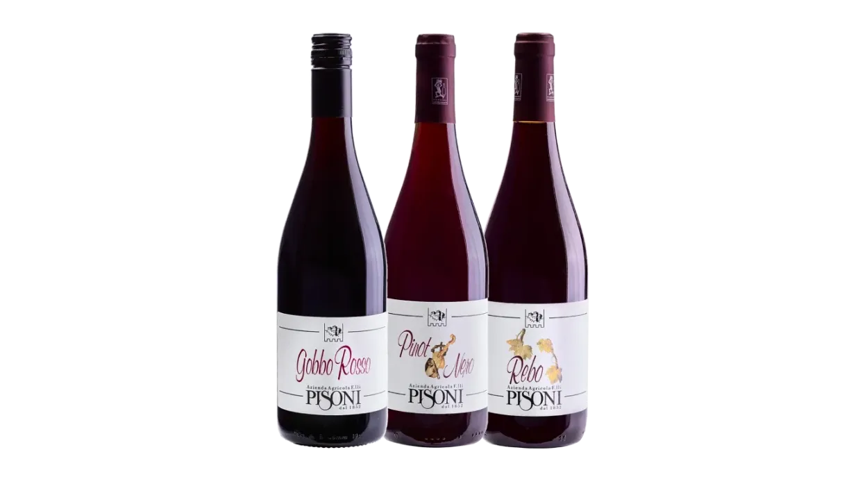 Vinæske med 3 flasker trentinske rødvine